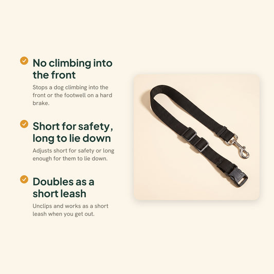 Adjustable Car Seat Belt Tether, key benefits
