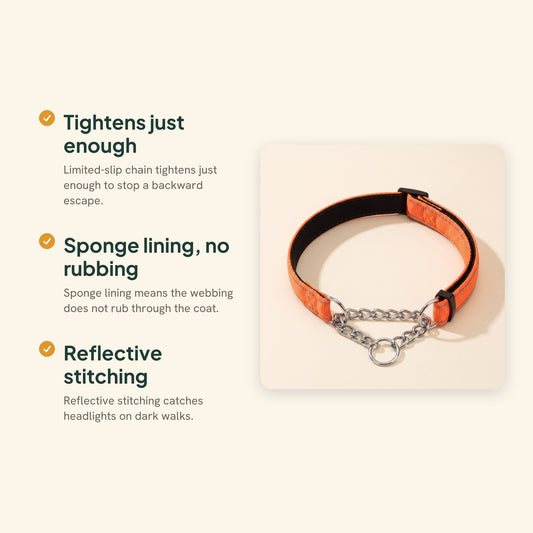 Chain Martingale Collar, Reflective, key benefits