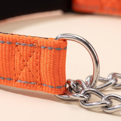 Chain Martingale Collar, Reflective, close-up detail