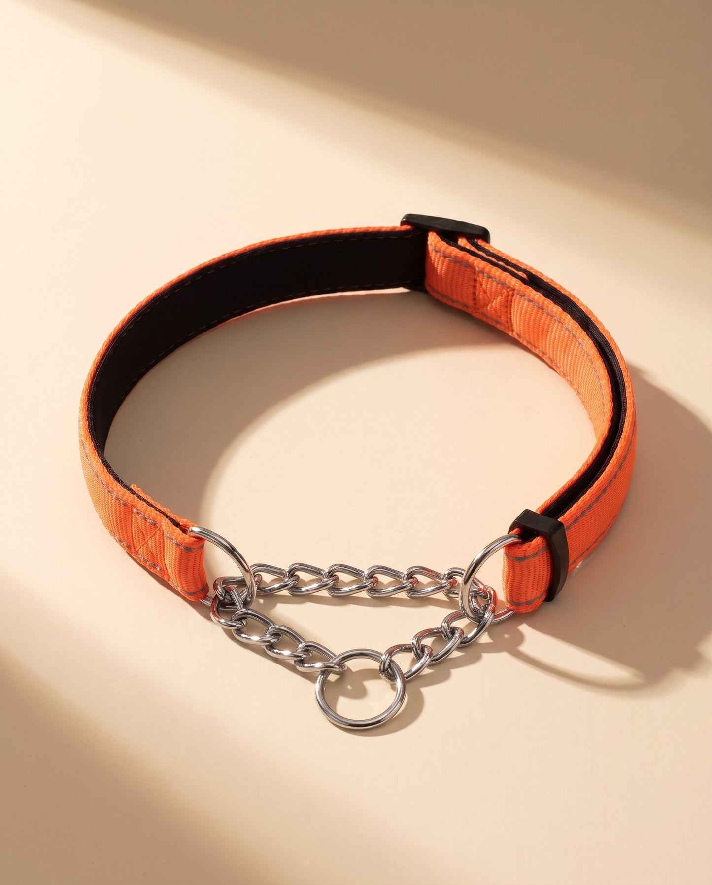 Chain Martingale Collar, Reflective, styled in a home setting