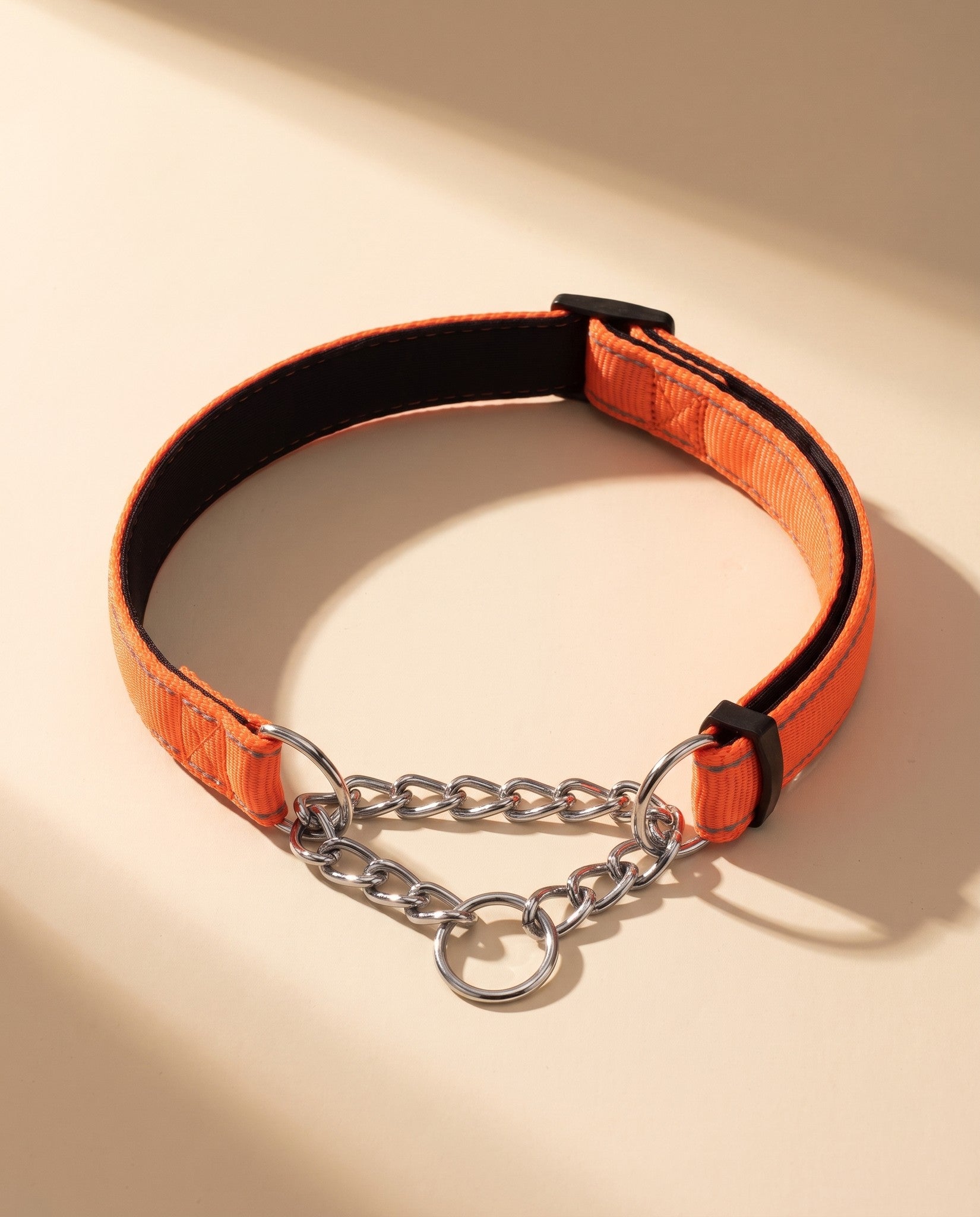 Chain Martingale Collar, Reflective, styled in a home setting