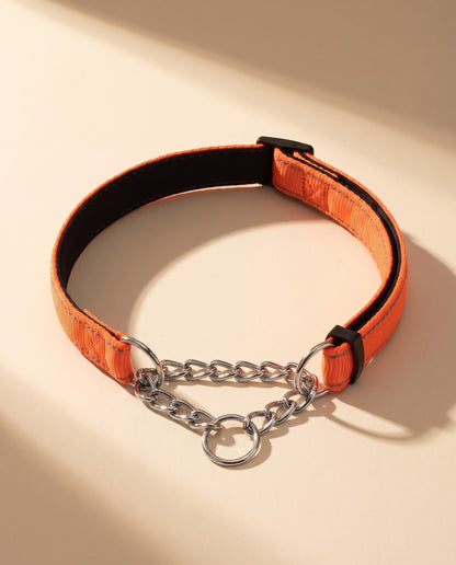 Chain Martingale Collar, Reflective, styled in a home setting
