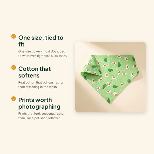 Cotton Fruit Print Dog Bandana, key benefits
