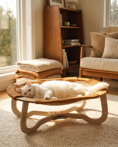 Elevated Woven Cooling Bed, in use at home