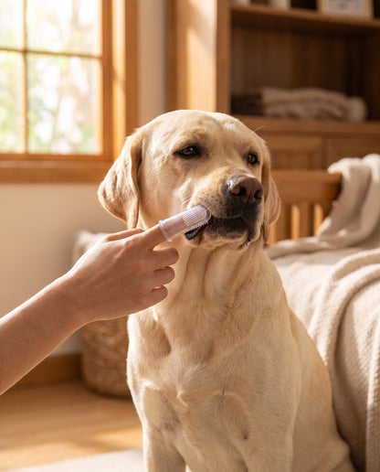 Clear Silicone Finger Toothbrush, in use at home