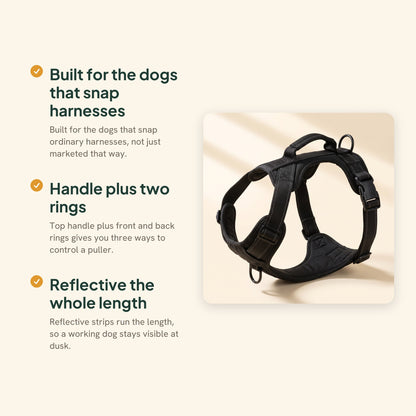 Tactical No-Pull Harness for Large Dogs, key benefits