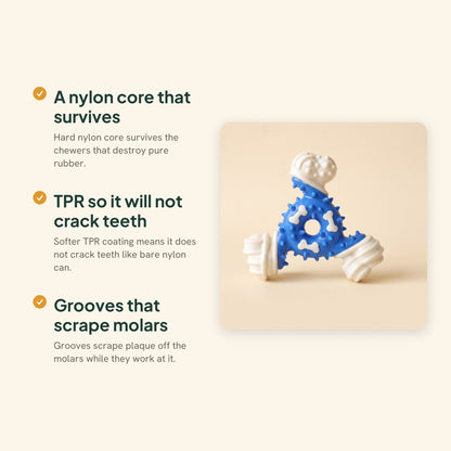 TPR-Coated Nylon Bone Chew Toy, key benefits