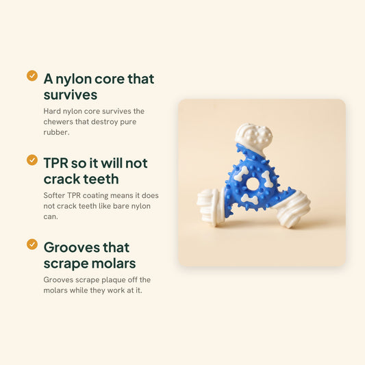 TPR-Coated Nylon Bone Chew Toy, key benefits