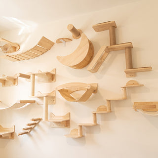 Wall-Mounted Cat Climbing Shelves and Hammock