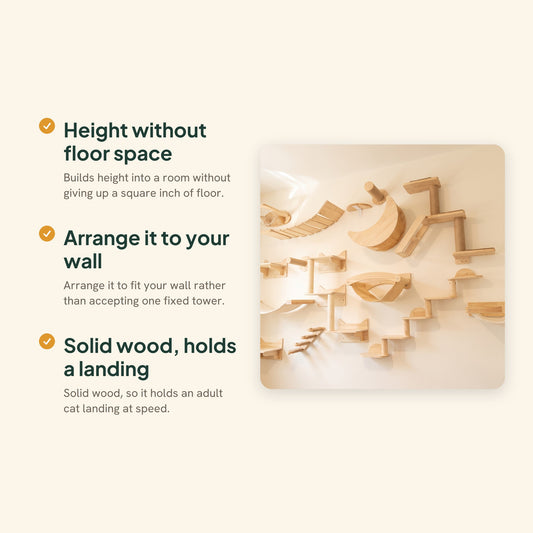 Wall-Mounted Cat Climbing Shelves and Hammock, key benefits