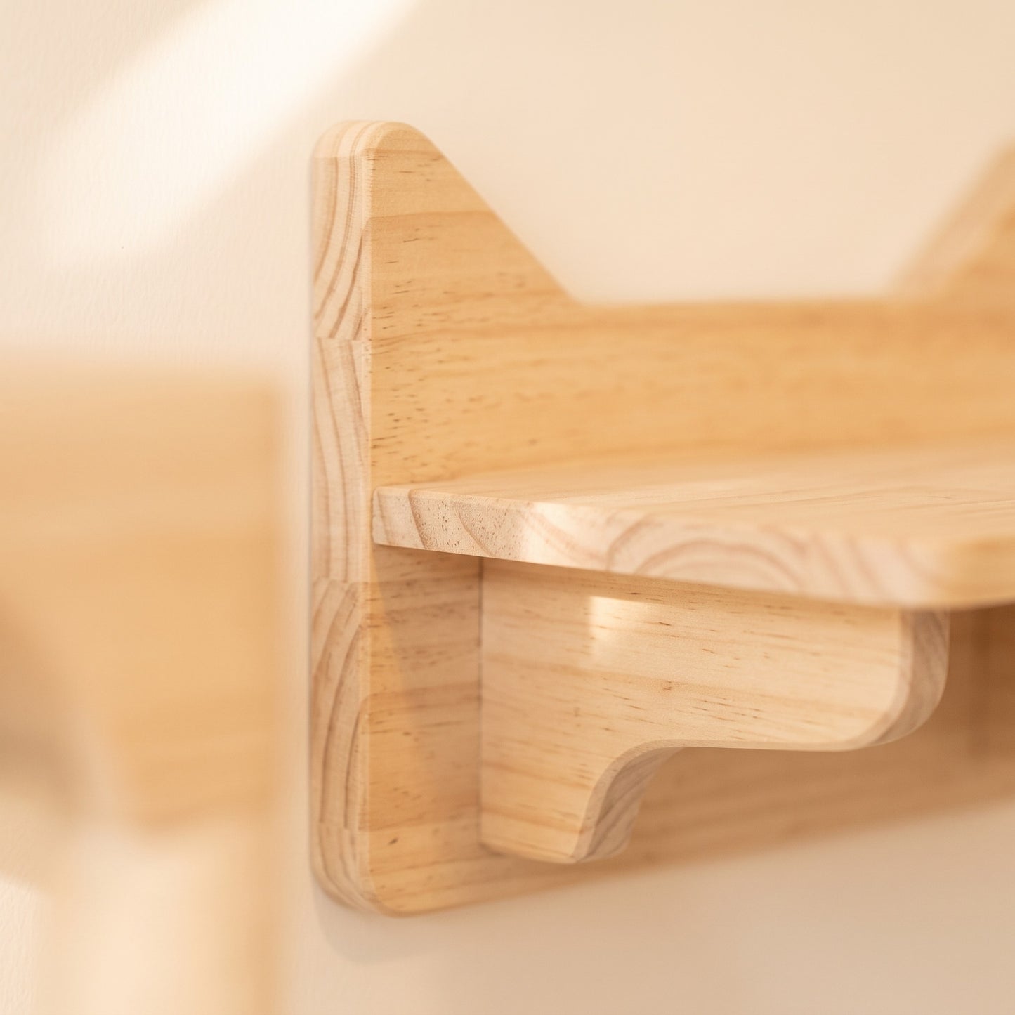 Wall-Mounted Cat Climbing Shelves and Hammock, close-up detail