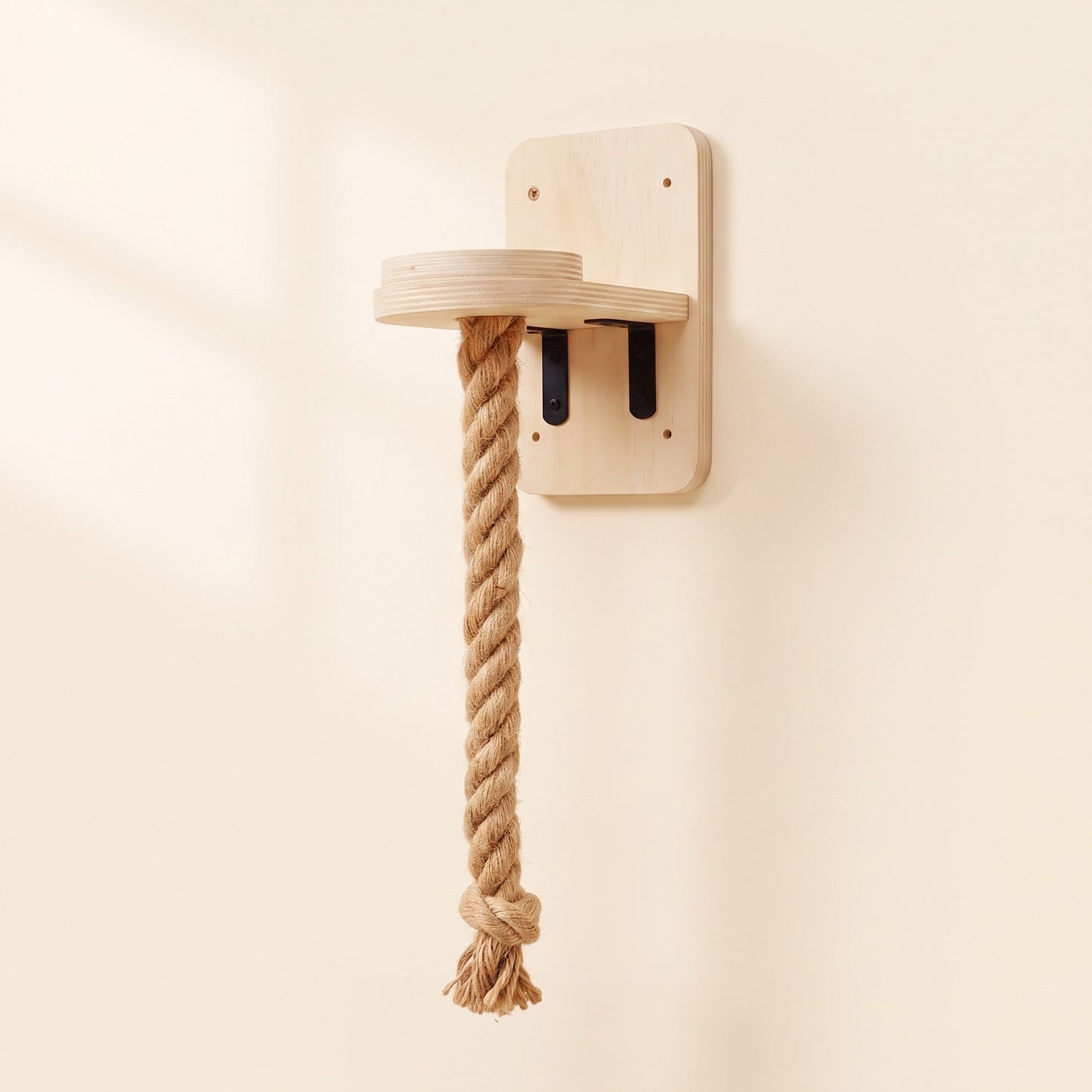 Wall-Mounted Cat Climbing Shelves and Hammock, Platform with Climbing Rope, 140cm