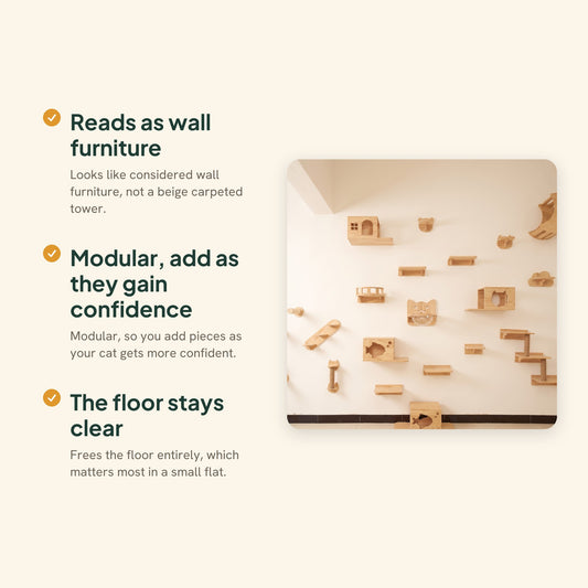Modern Floating Cat Wall Shelves, key benefits