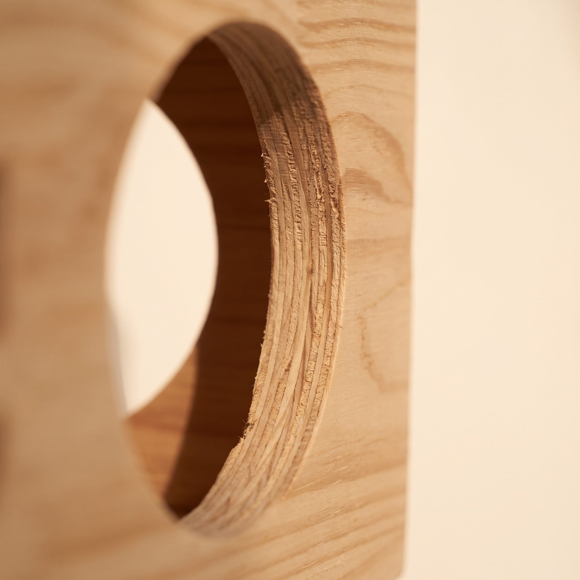 Modern Floating Cat Wall Shelves, close-up detail