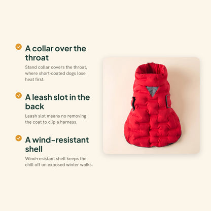 Windproof Padded Dog Coat, key benefits
