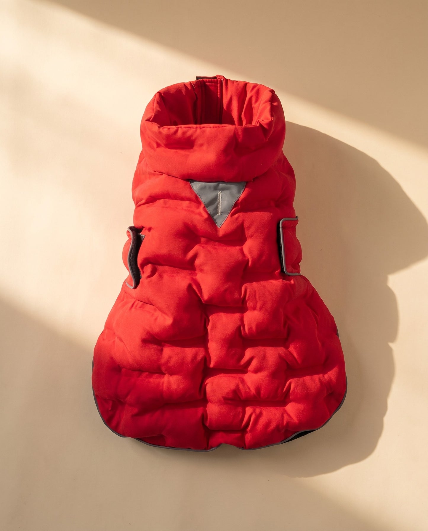 Windproof Padded Dog Coat, styled in a home setting