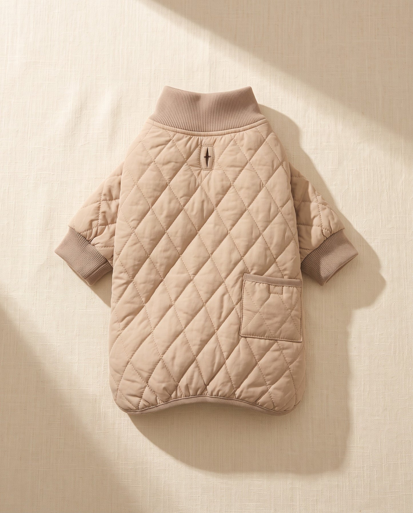Quilted Winter Coat for Dachshunds, styled in a home setting
