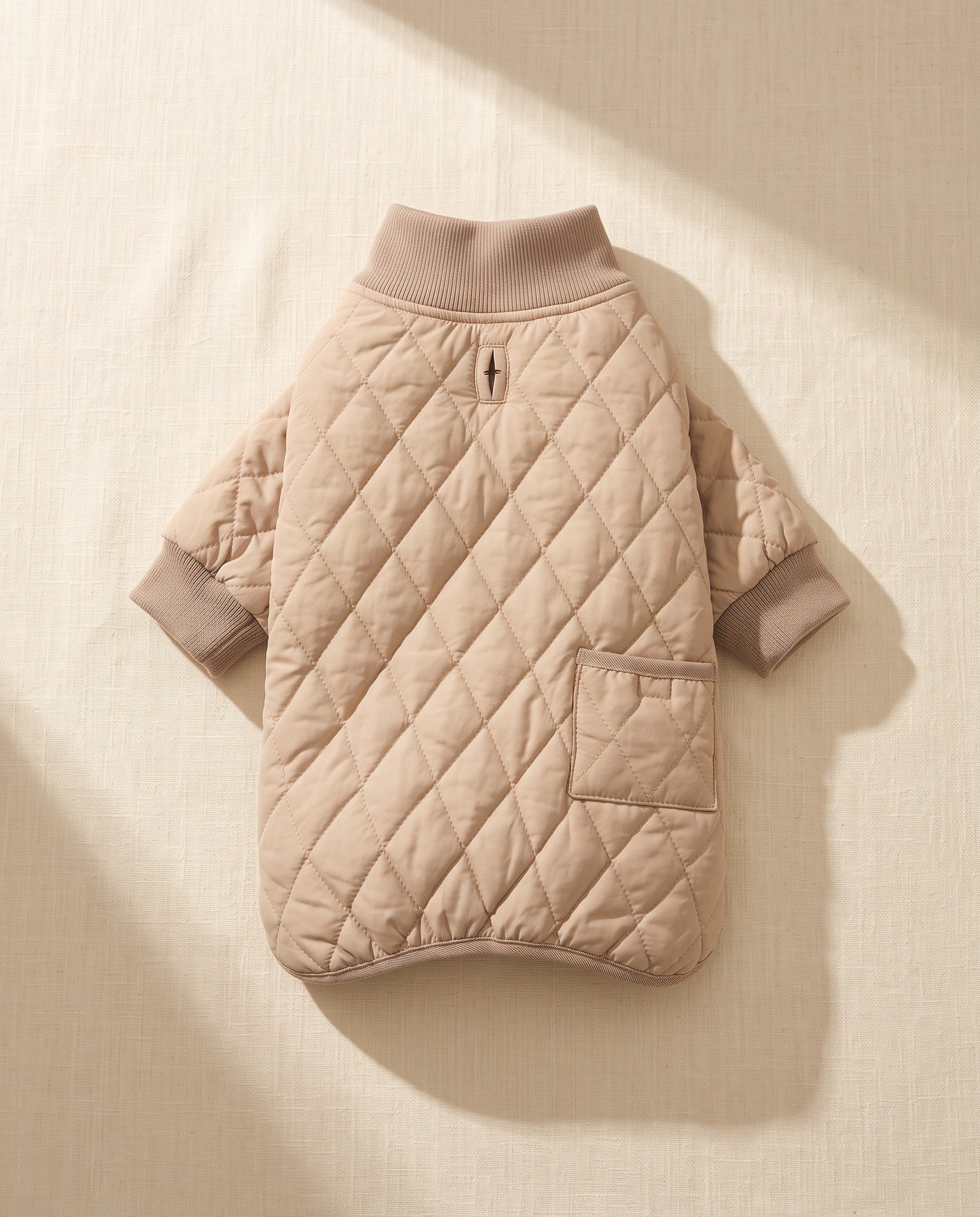 Quilted Winter Coat for Dachshunds, styled in a home setting
