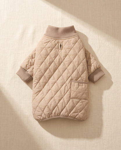 Quilted Winter Coat for Dachshunds, styled in a home setting