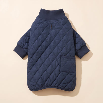 Quilted Winter Coat for Dachshunds - navy