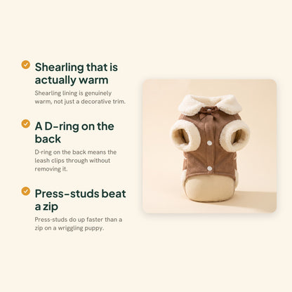 Shearling-Trim Winter Dog Jacket, key benefits