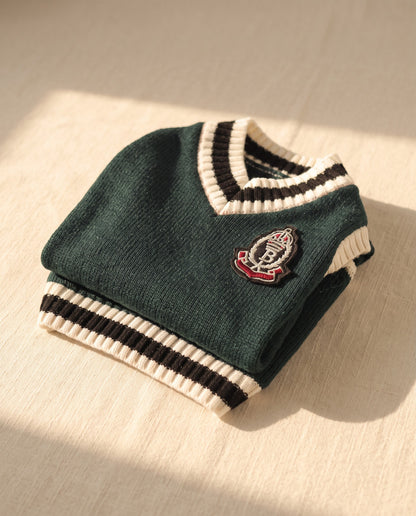 College V-Neck Knit Vest for Dogs, styled in a home setting