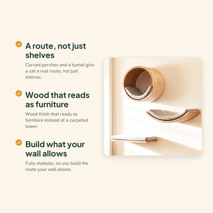 Wooden Wall Cat Climbing Set with Tunnel, key benefits