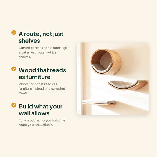 Wooden Wall Cat Climbing Set with Tunnel, key benefits