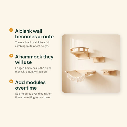 Wooden Cat Wall Shelves and Hammock, key benefits