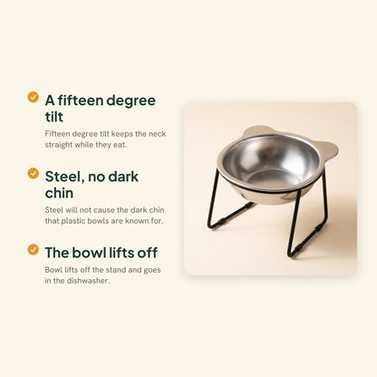 Raised 15 Degree Stainless Steel Cat Bowl, key benefits
