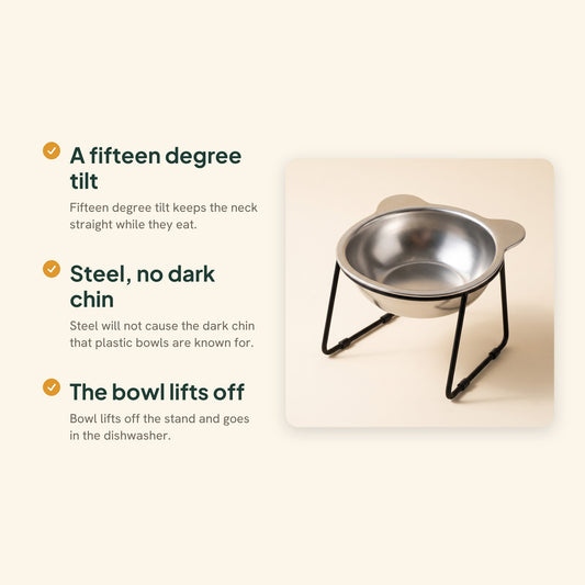 Raised 15 Degree Stainless Steel Cat Bowl, key benefits