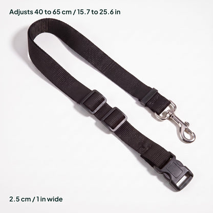 Car Seat Belt Tether, dimensions