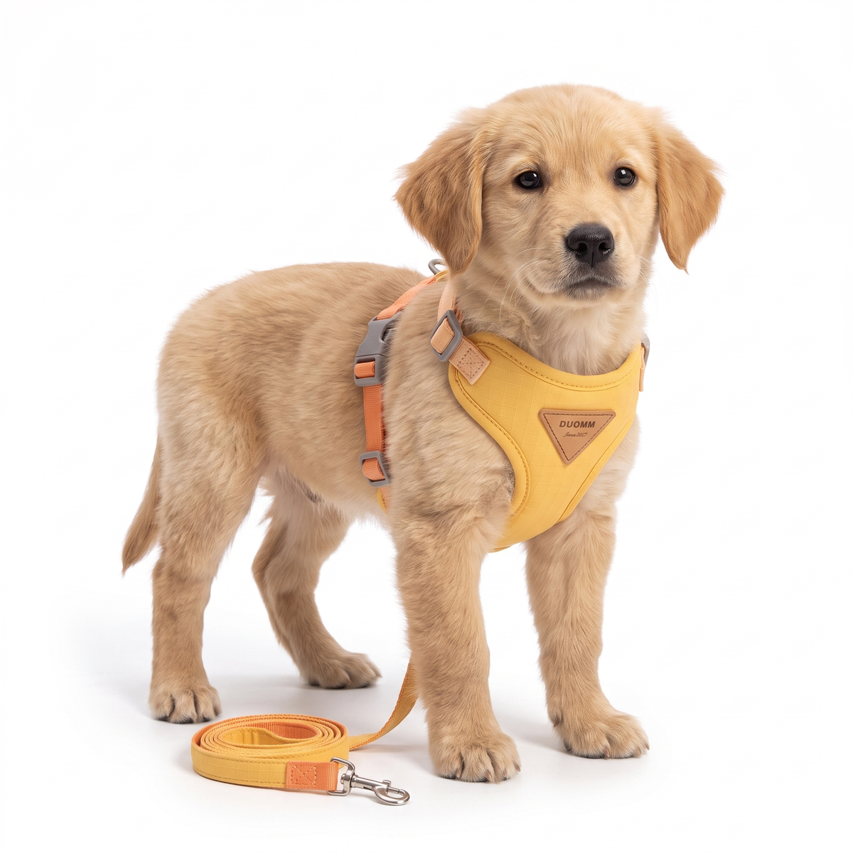Adjustable Cat and Puppy Harness Set