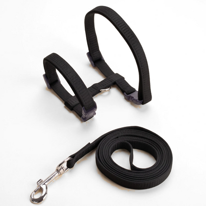 Cat Halter Harness and Leash
