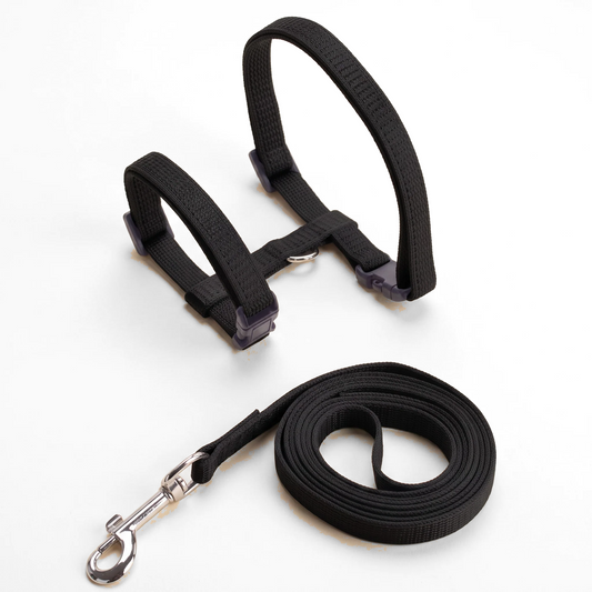 Cat Halter Harness and Leash