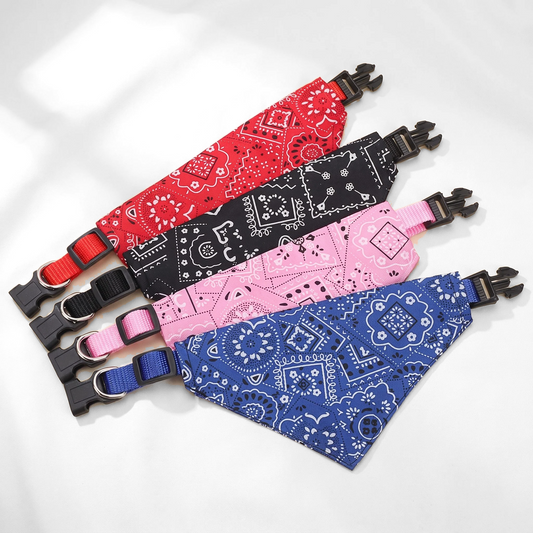 Bandana Collar