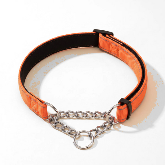 Chain Martingale Collar, Reflective