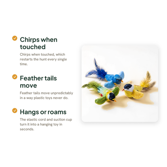Chirping Feather Bird Cat Toys