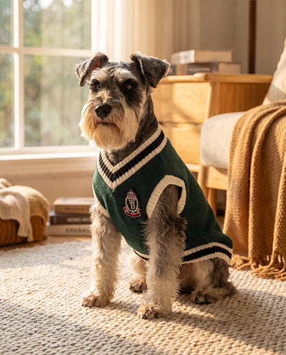 College V-Neck Knit Vest for Dogs, in use at home