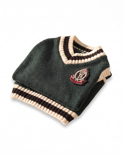 College V-Neck Knit Vest for Dogs, styled in a home setting