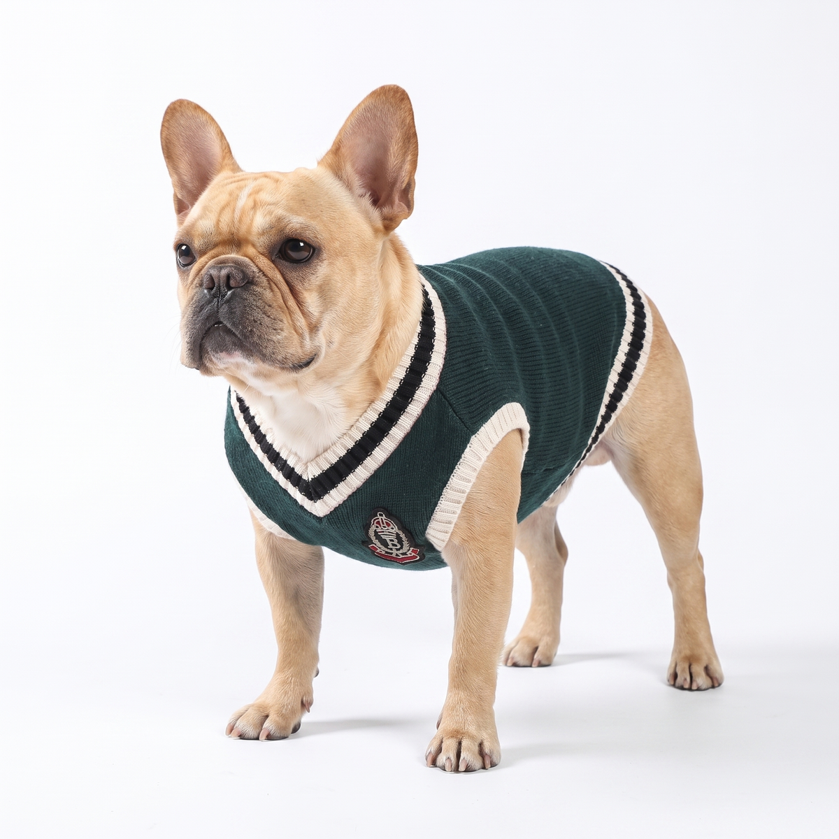 College V-Neck Knit Vest for Dogs