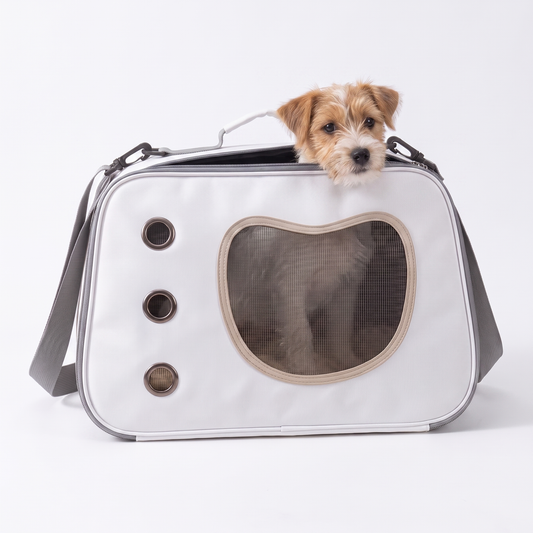 Foldable Soft-Sided Shoulder Carrier