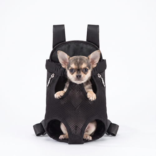 Front-Facing Backpack Carrier