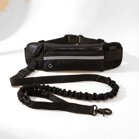 Hands-Free Leash with Waist Pack