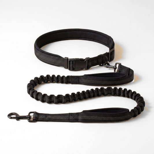Hands-Free Running Leash with Waist Belt