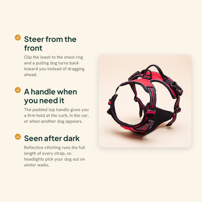 Reflective No-Pull Dog Harness, key benefits