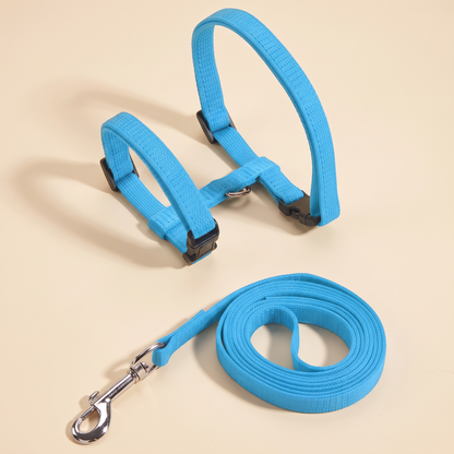 Adjustable Cat Halter Harness and Leash - sky blue