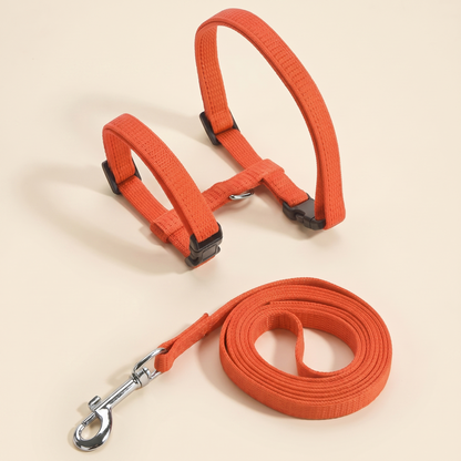 Adjustable Cat Halter Harness and Leash - orange
