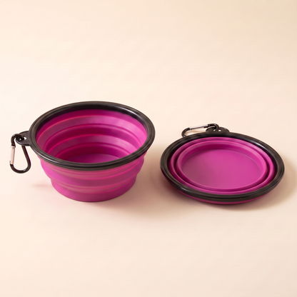Collapsible Silicone Travel Bowl - purple