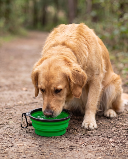 Collapsible Silicone Travel Bowl, in use at home